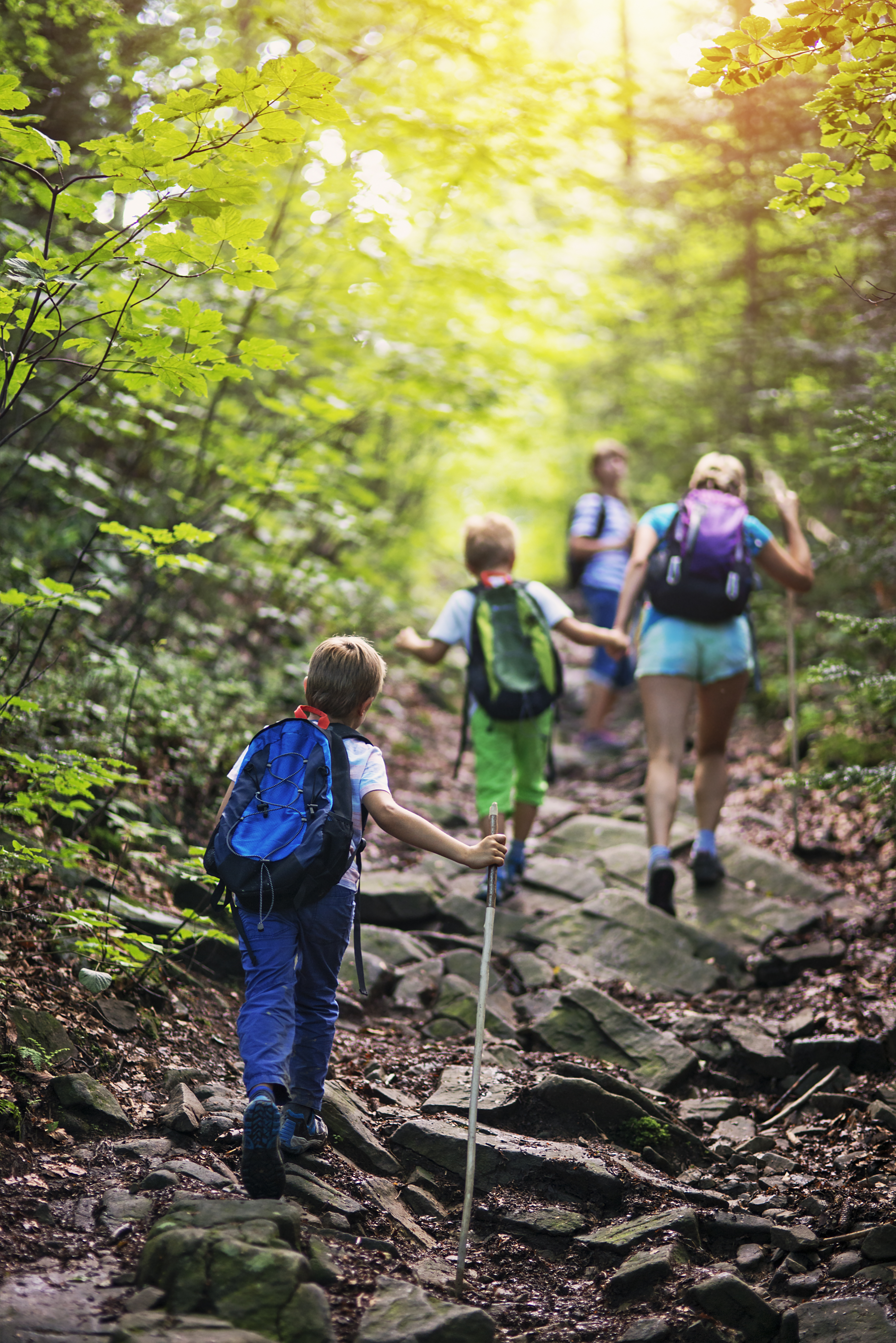 family friendly blue mountains
