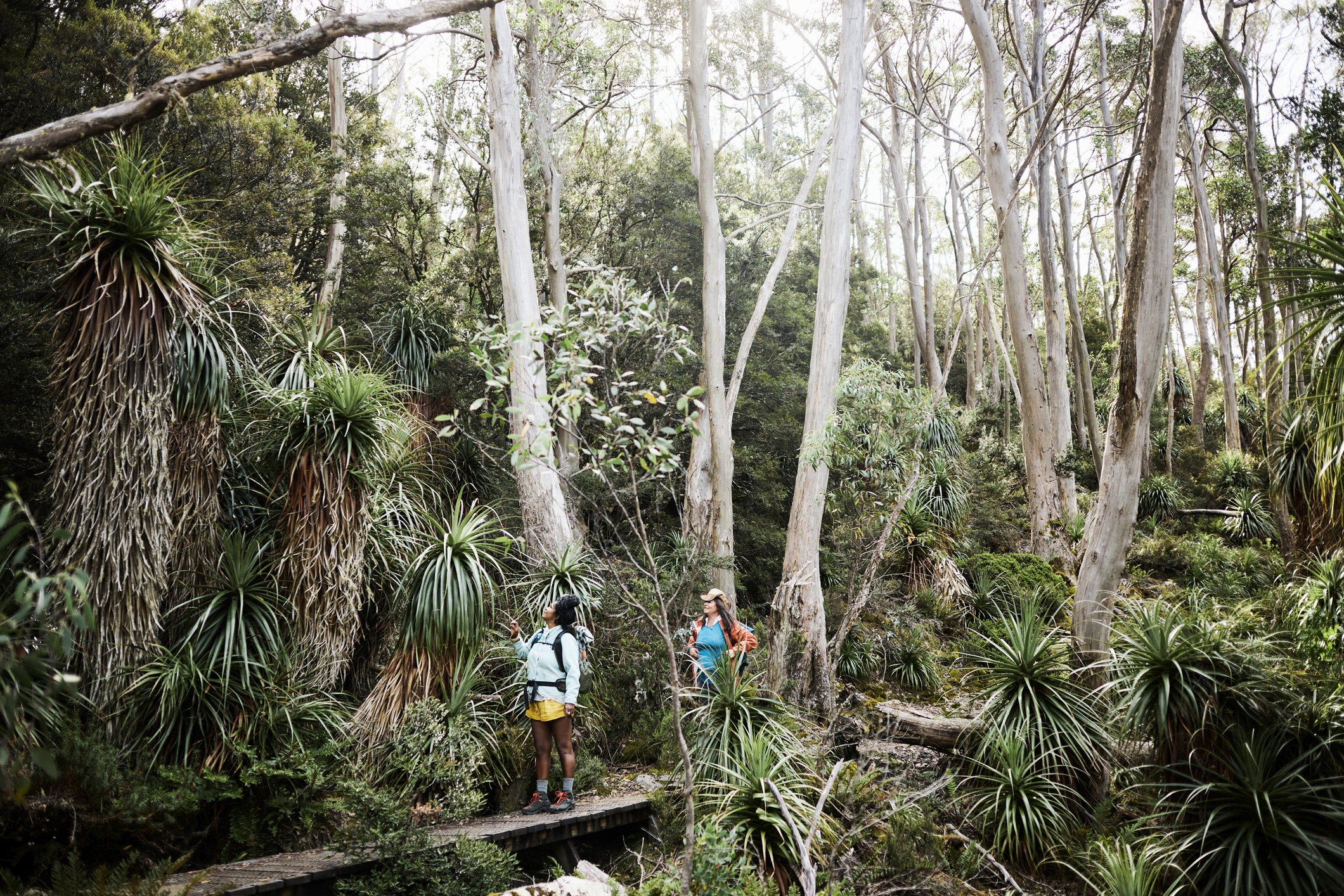 women bushwalking